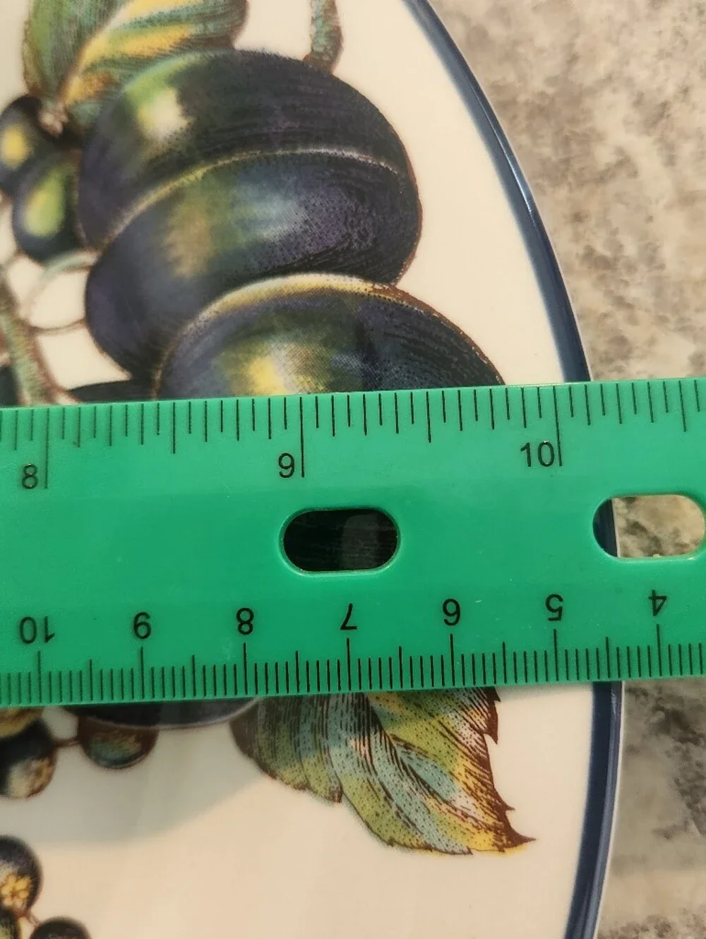 Pier 1 MacIntosh  Decorative Fruit Pattern 10